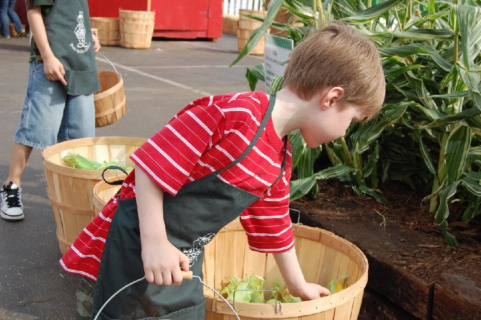 MINI-DSC 0421