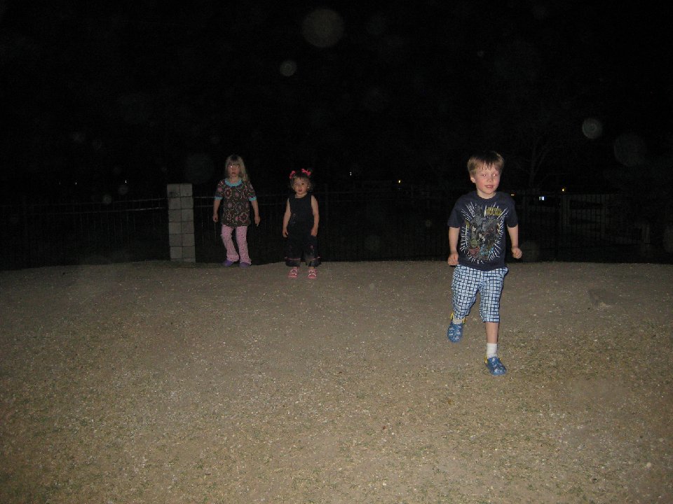 IMG 1681