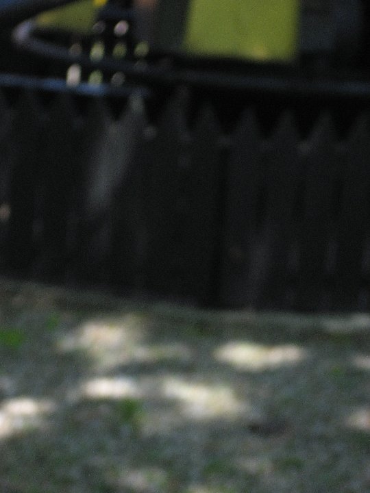 IMG 6913
