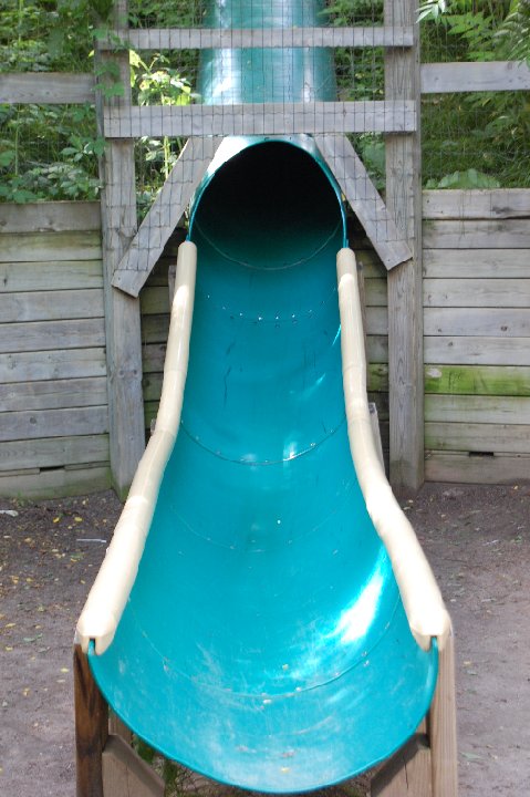DSC 0500