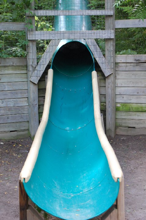 DSC 0504