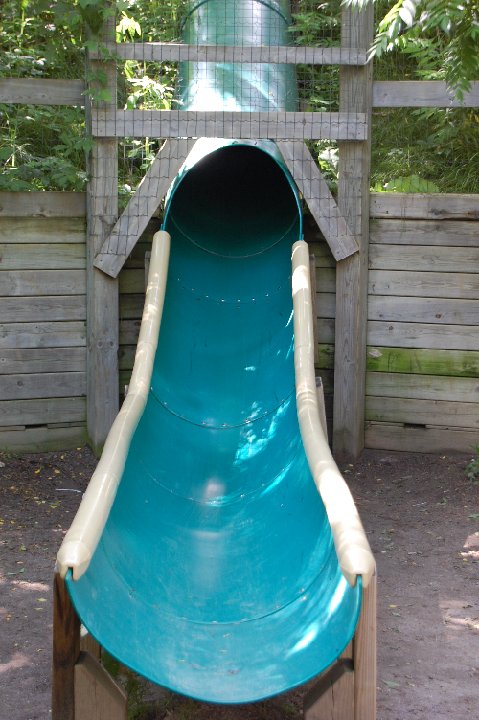 DSC 0513
