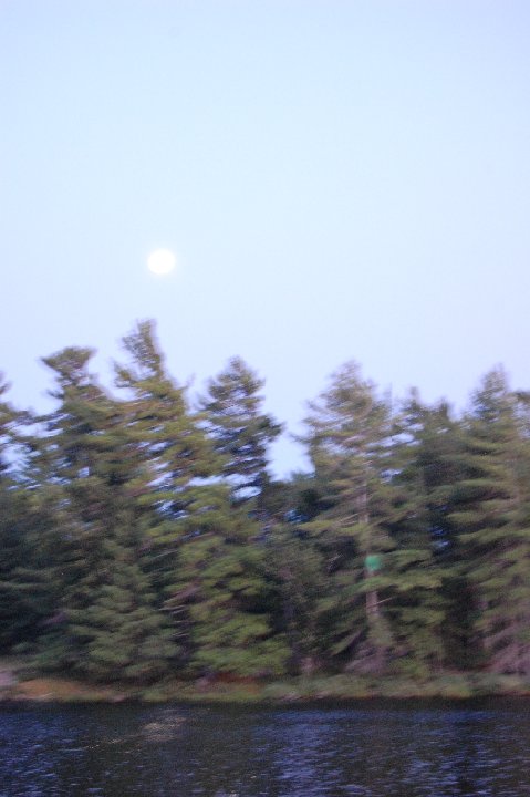 DSC 0616