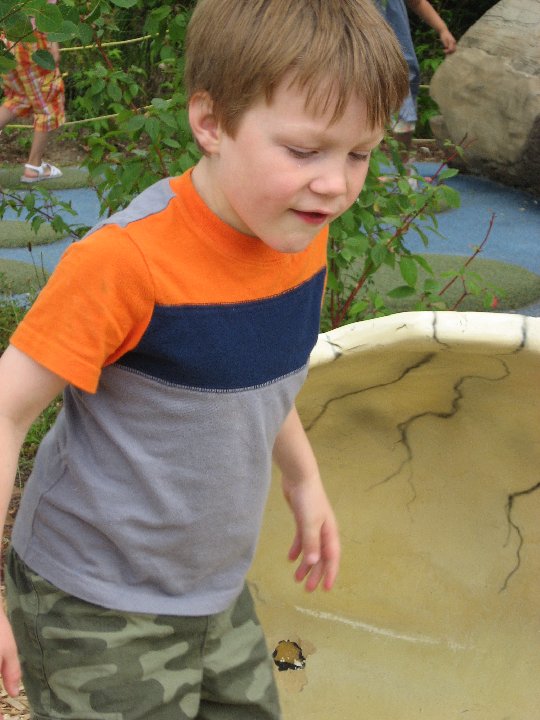 IMG 7083