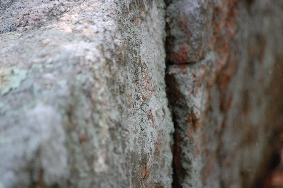 DSC 0120