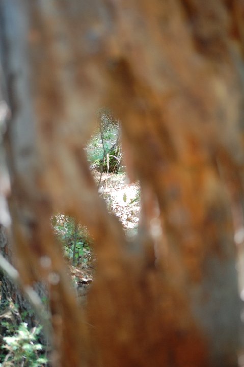 DSC 0140