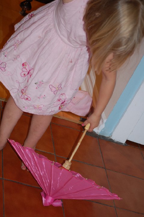 DSC 0368