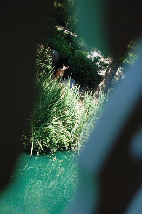 DSC 0154