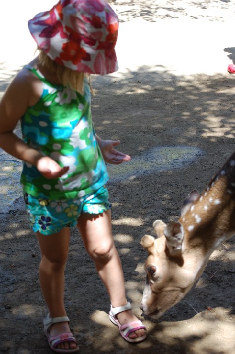 DSC 0258