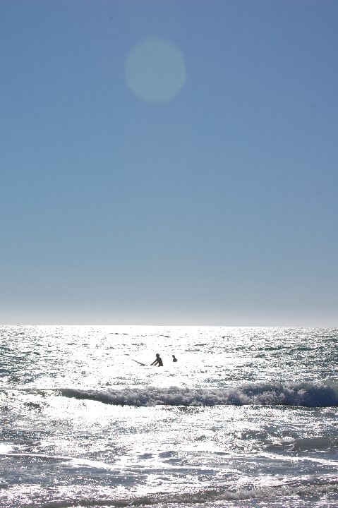 DSC 0330