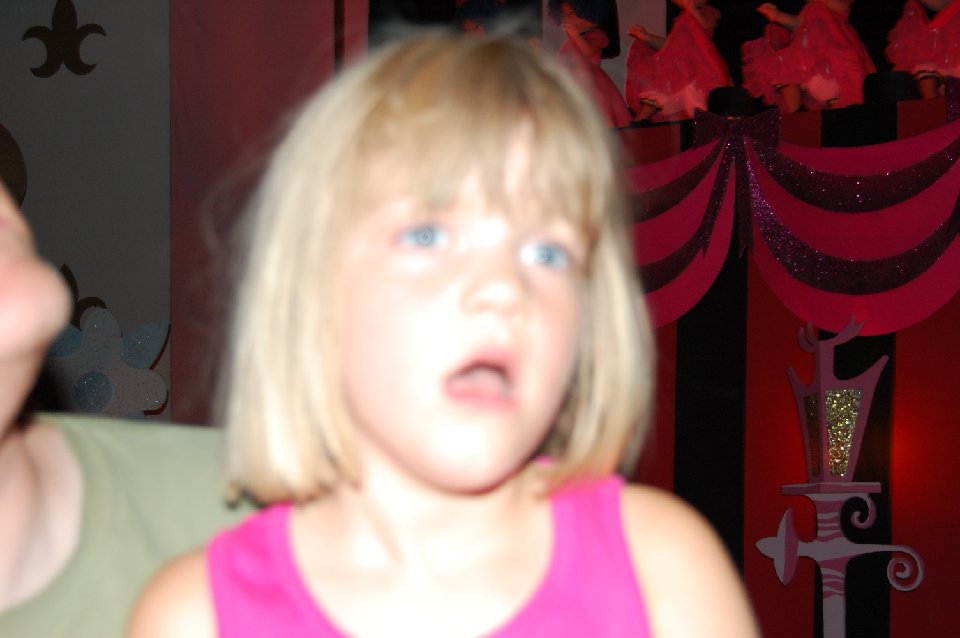 DSC 0008