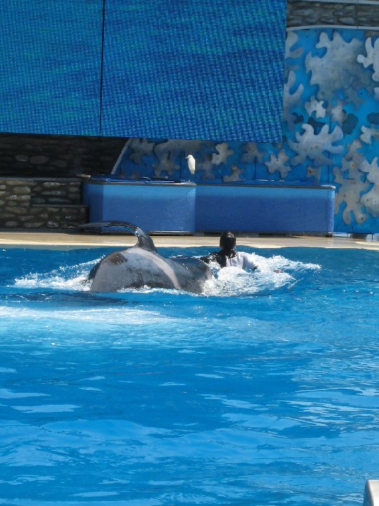 IMG 2186