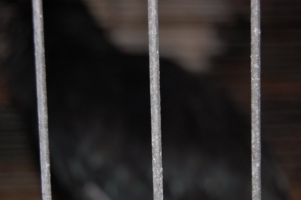DSC 0105