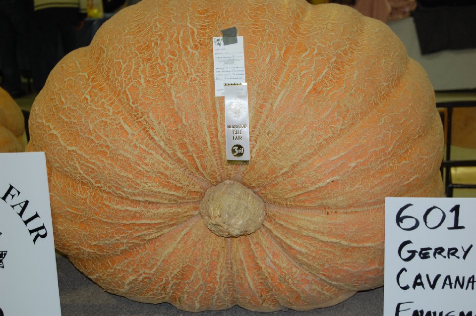 DSC 0119