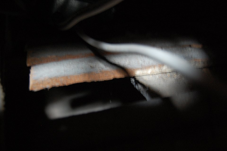 DSC 0130