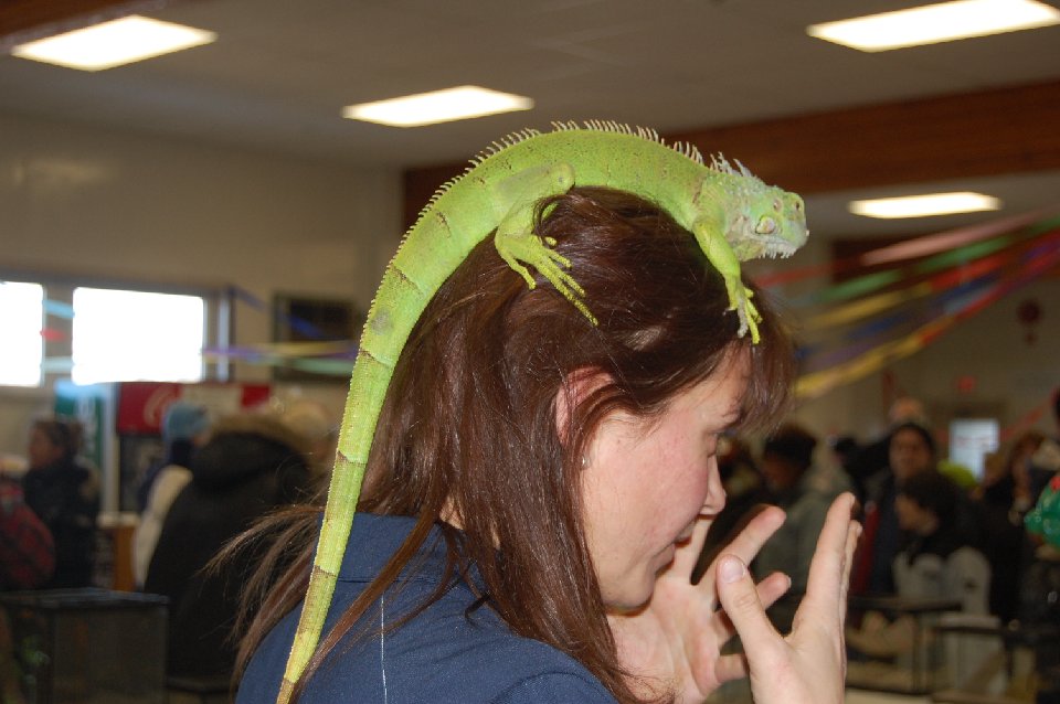 DSC 0316