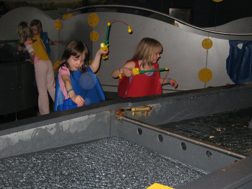 IMG 2707