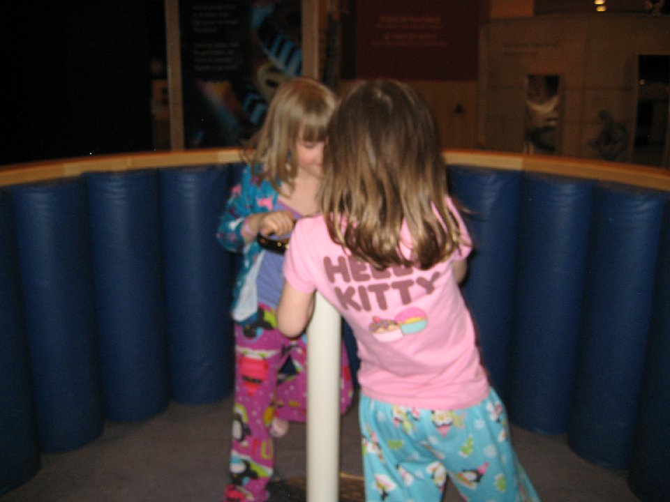 IMG 2729