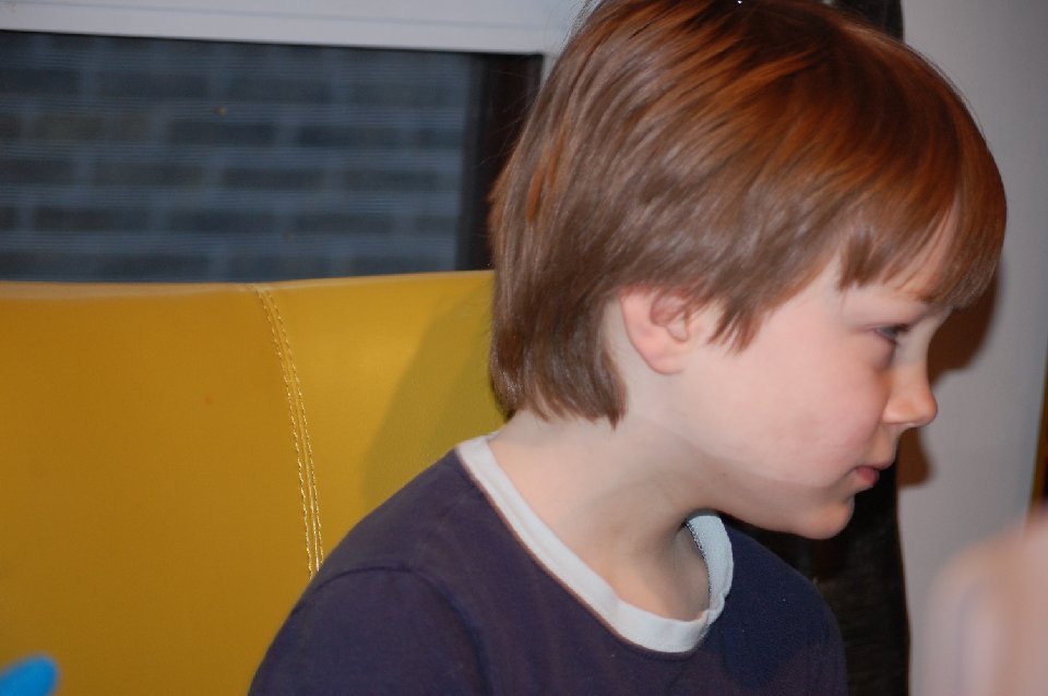 DSC 0003