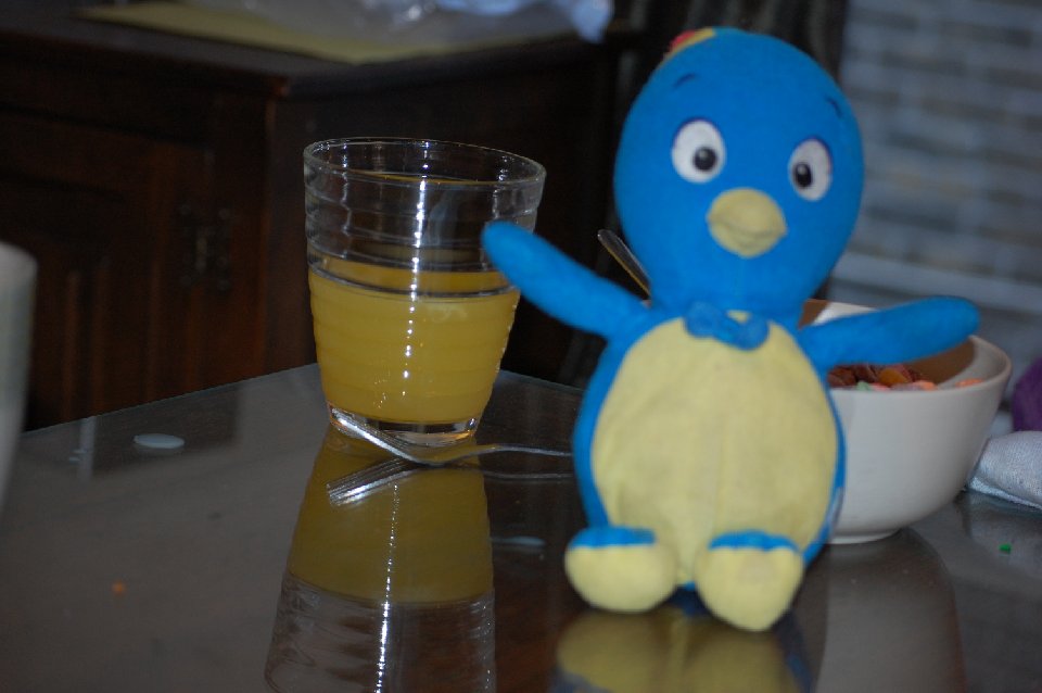 DSC 0011