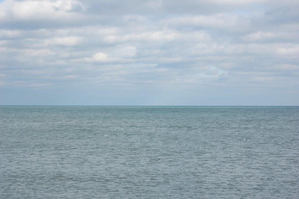 DSC 0083