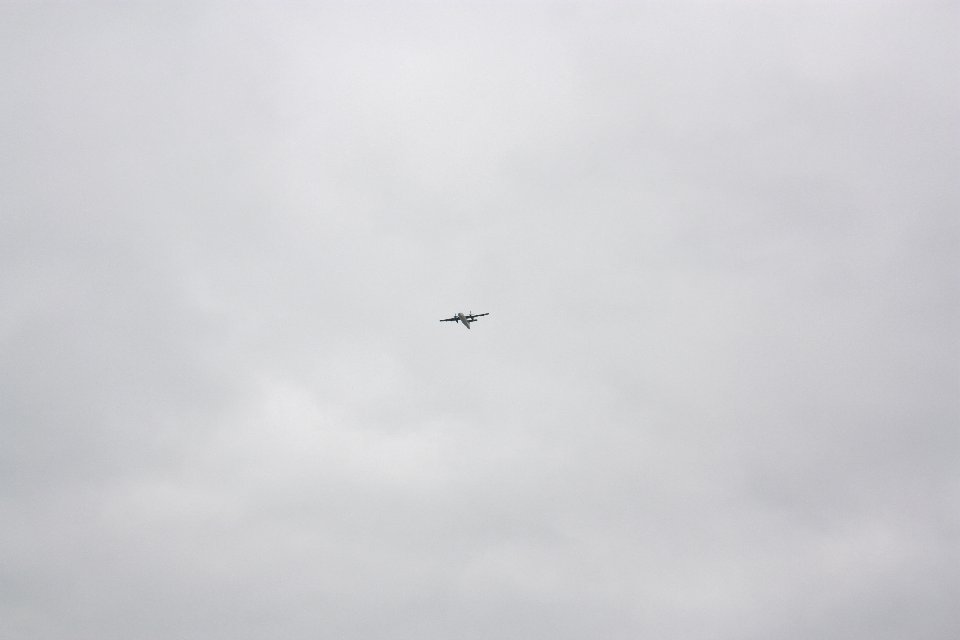 IMG 0307