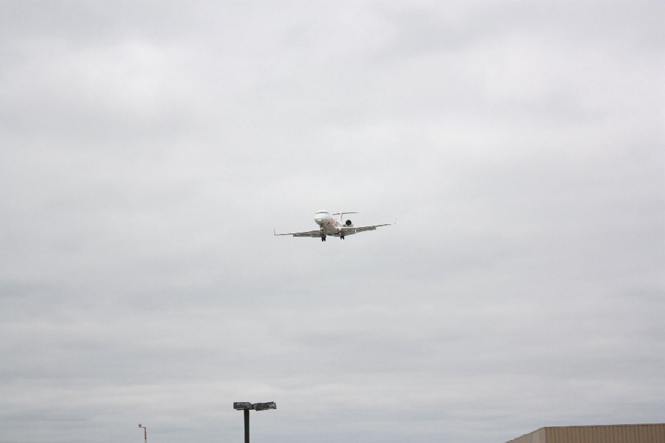 IMG 0355
