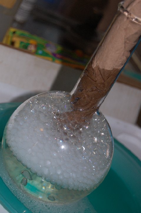 DSC 0376