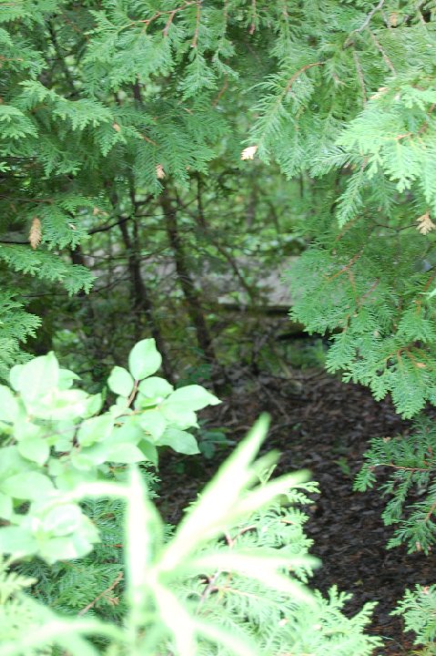 DSC 0081