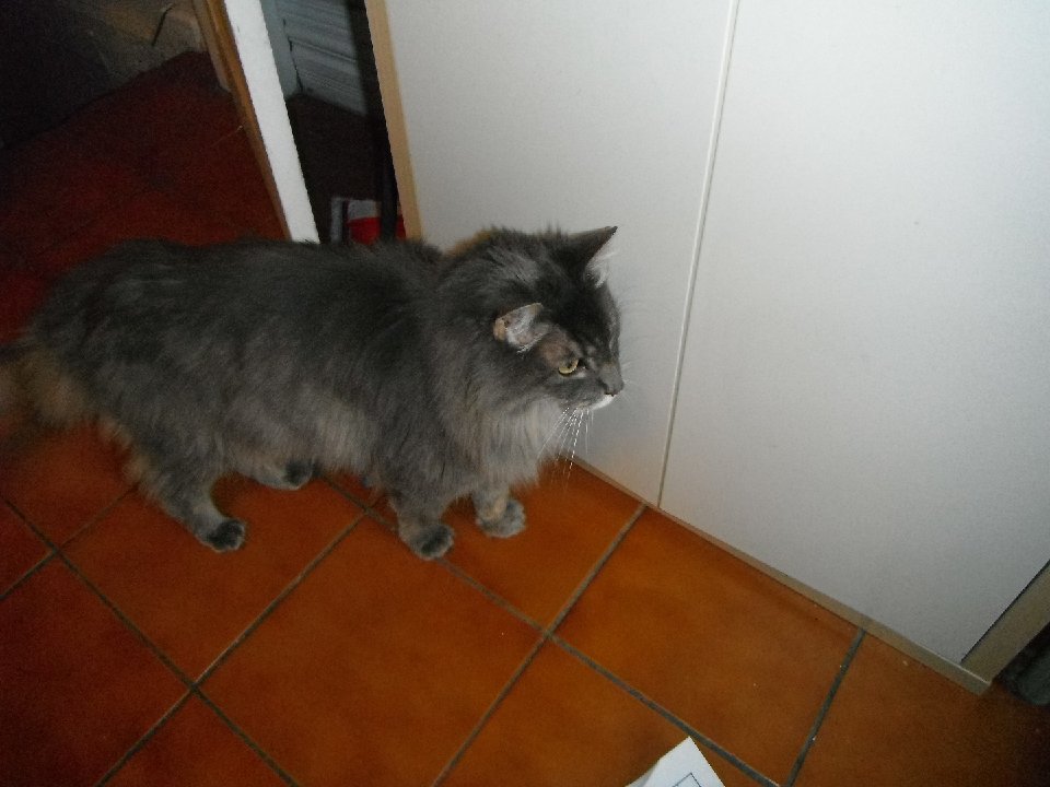 DSCF0003