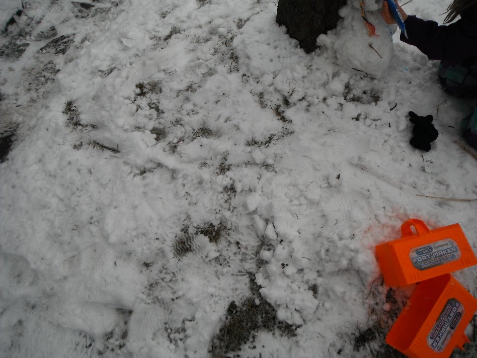 DSCF0035