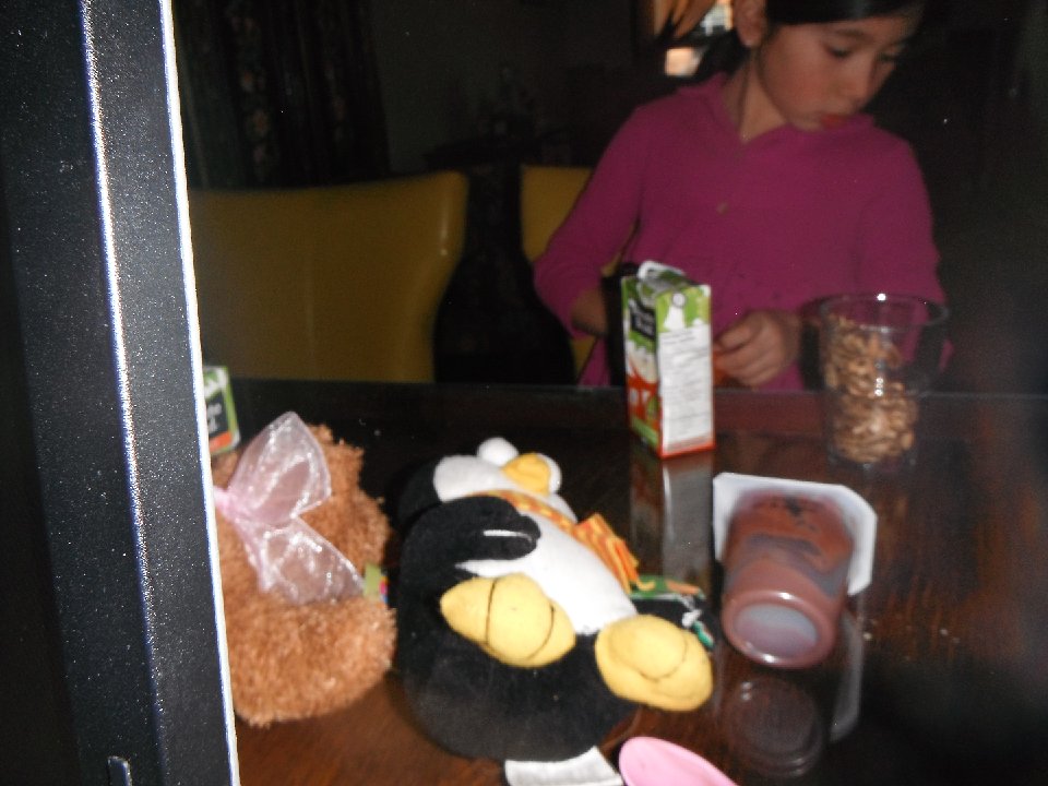 DSCF0054