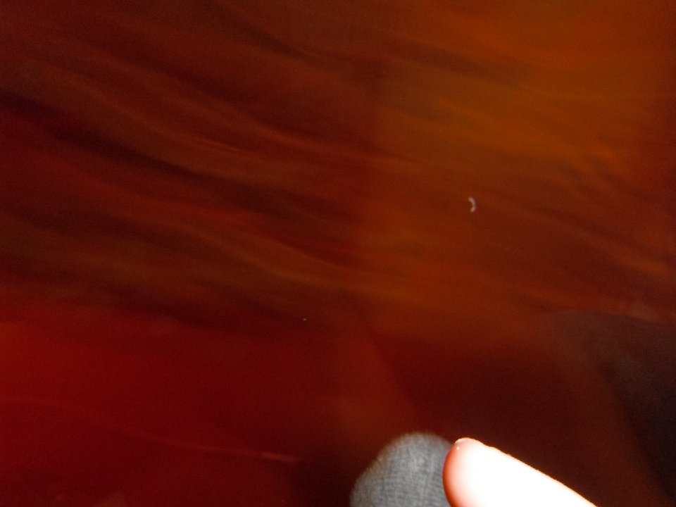 DSCF0130