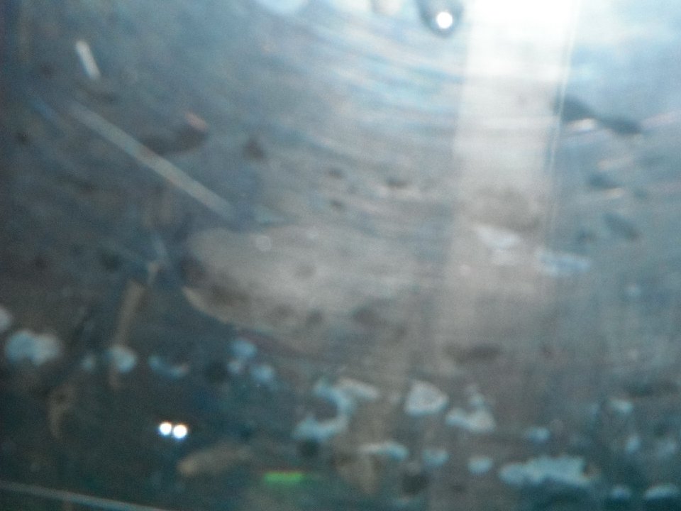 DSCF0147