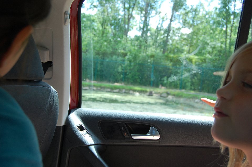 DSC 0858