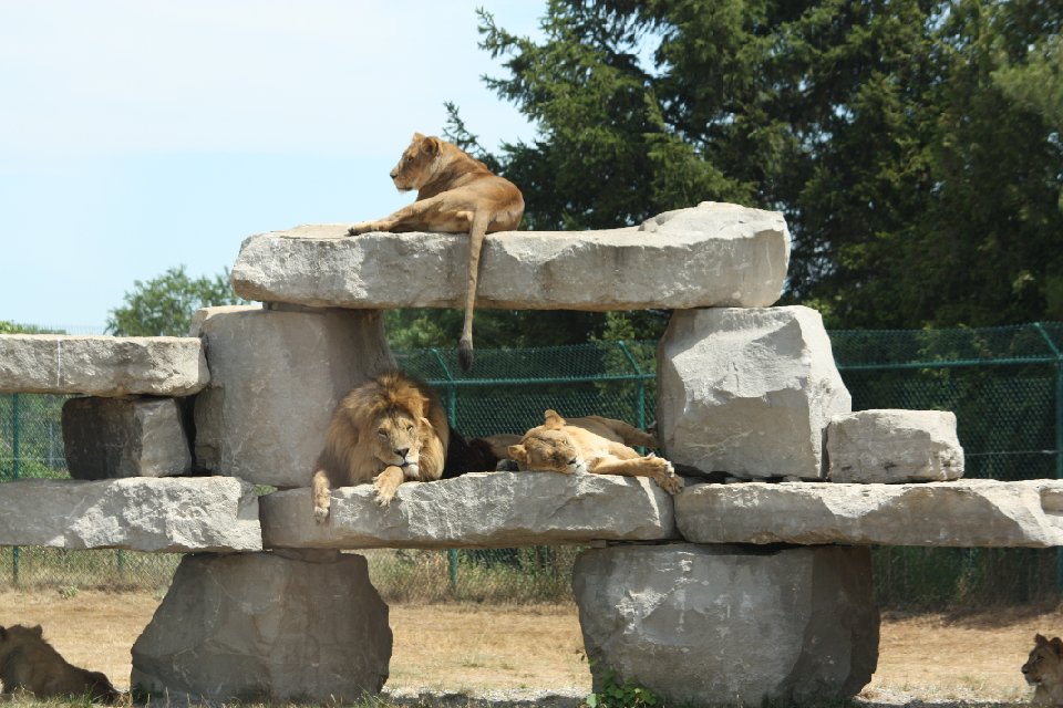IMG 0579