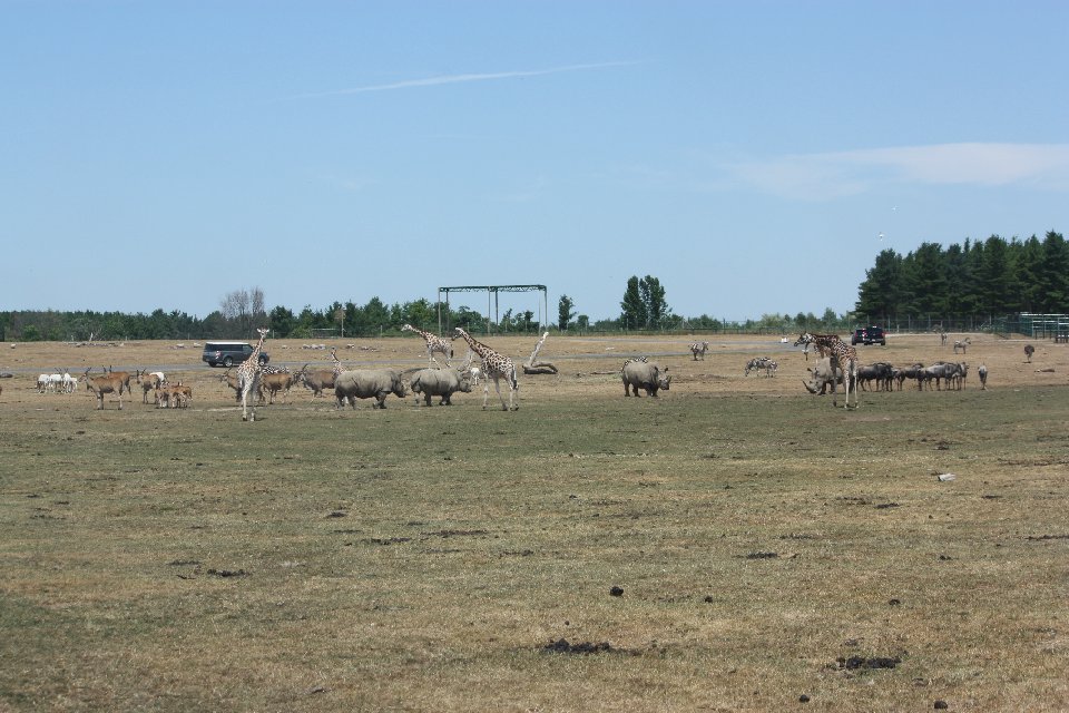 IMG 0702