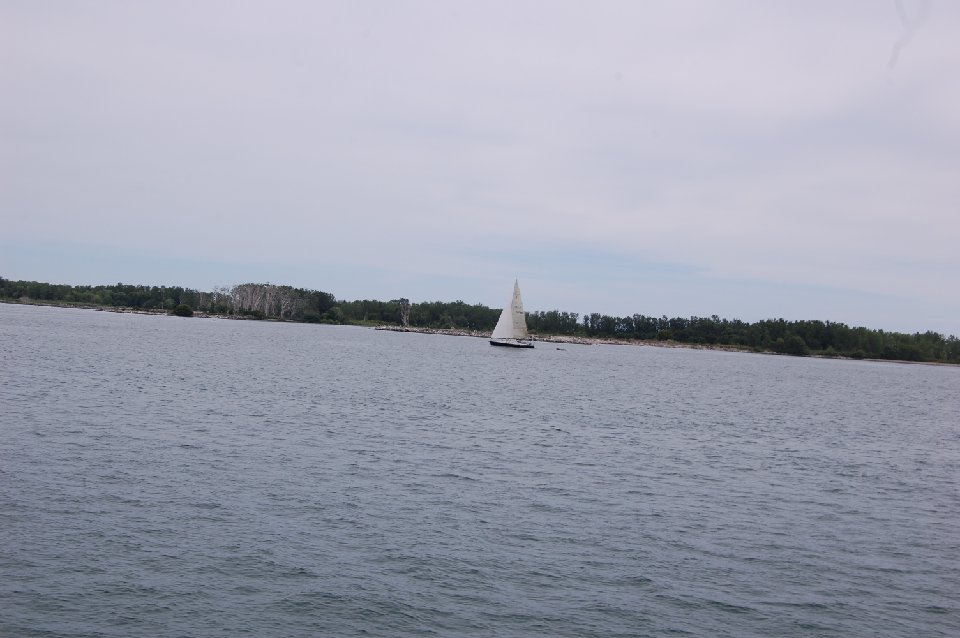 DSC 0992