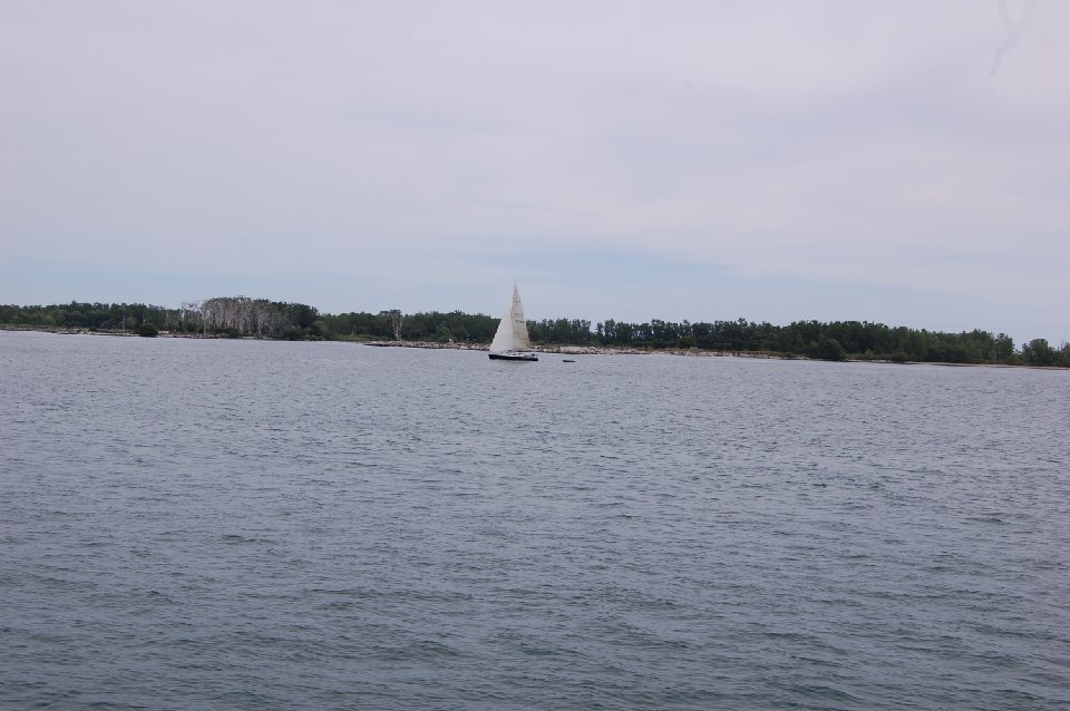 DSC 0993
