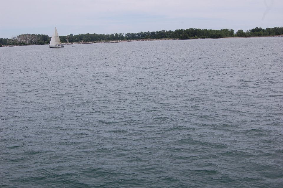 DSC 1000