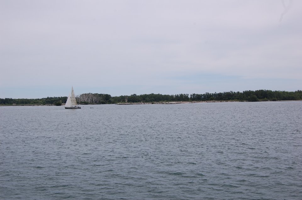 DSC 1001