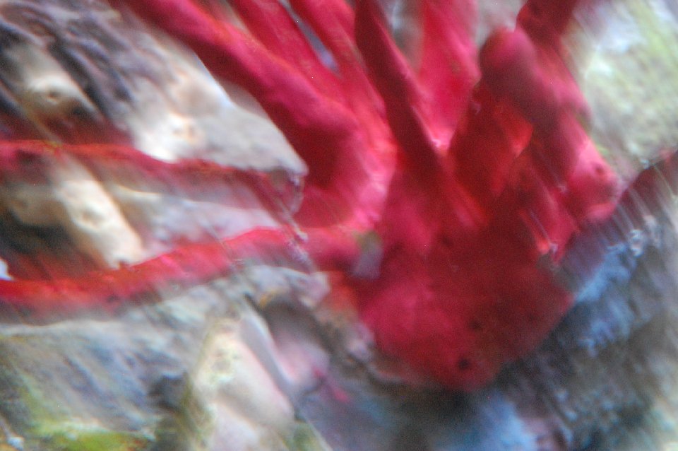 DSC 0298