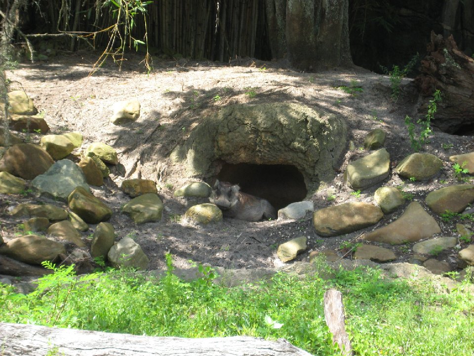 IMG 2924