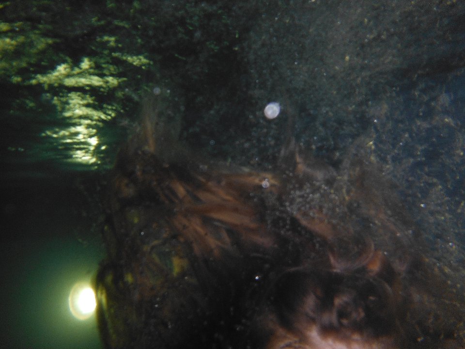 DSCF0026