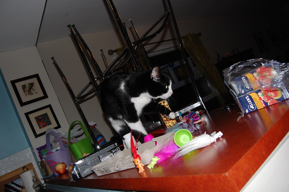 DSC 0050