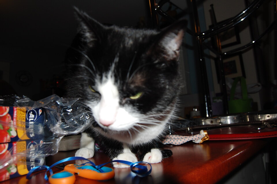 DSC 0058