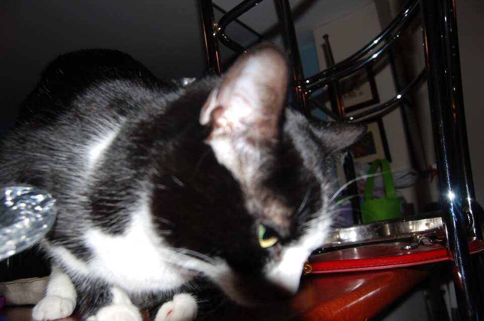 DSC 0059