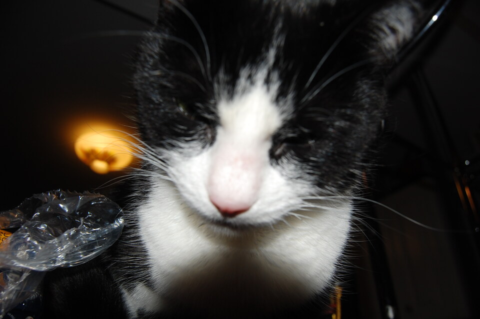 DSC 0061