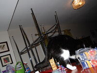 DSC 0054