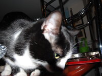 DSC 0059